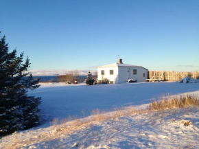 Гостиница Bessastaðir Guesthouse  Hvammstangi